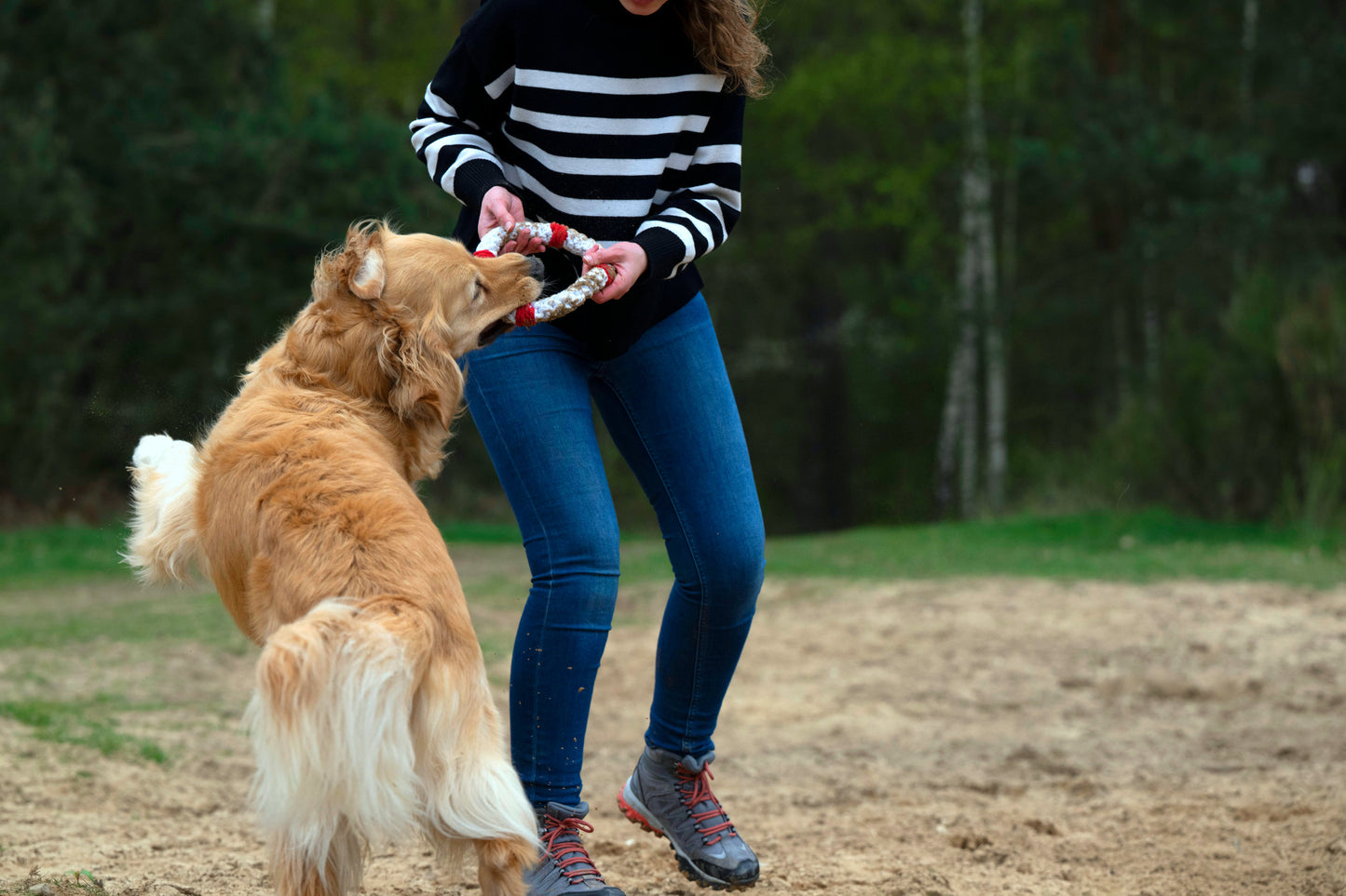 Laboni Hundespielzeug