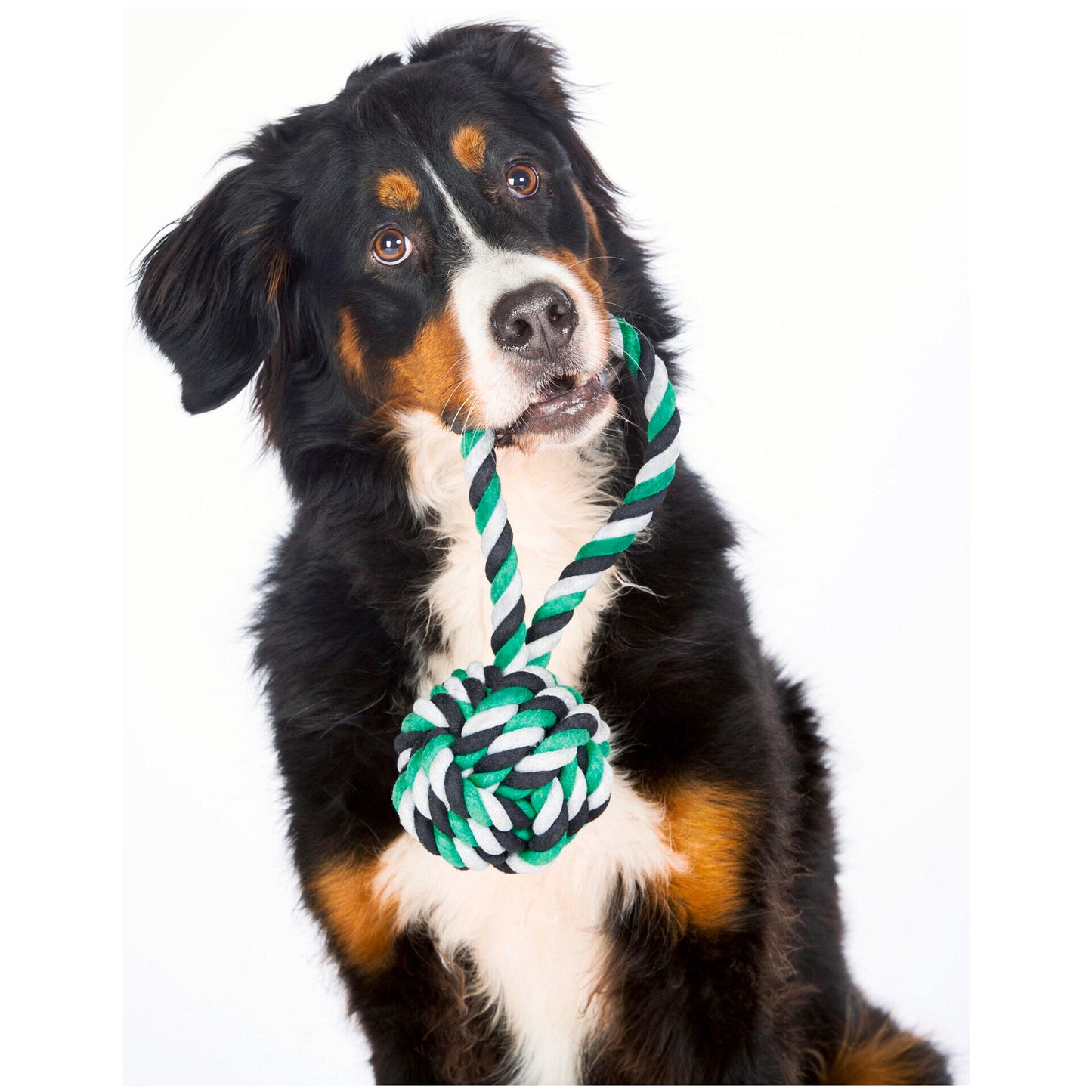 Knoten für vier Pfoten Hundespielzeug Schleuderball Grün Weiß Schwarz Laboni