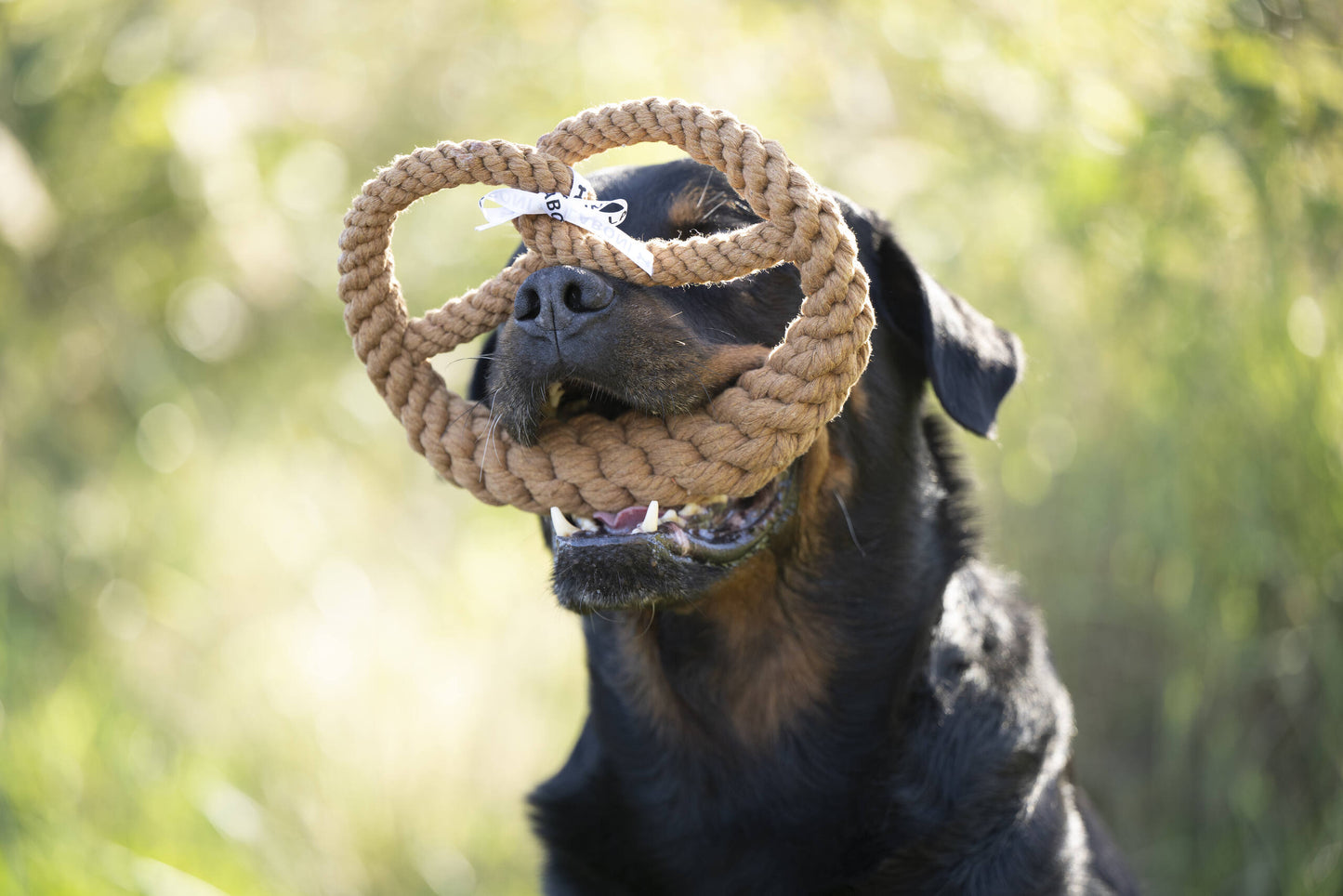 Hund mit Brezel aus Baumwolle zum Werfen und Kauen