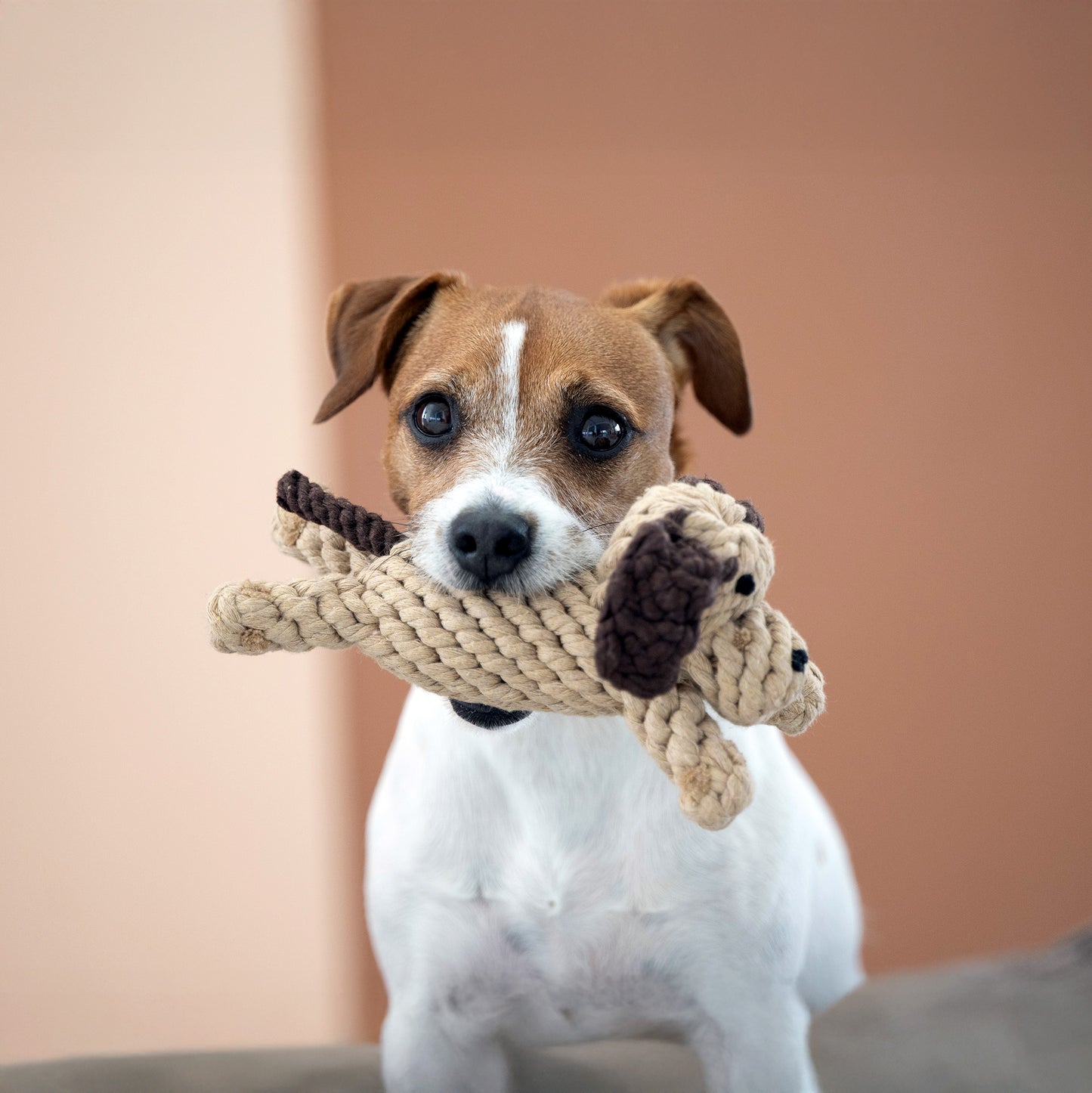 Doggy Dog - Hundespielzeug von Laboni