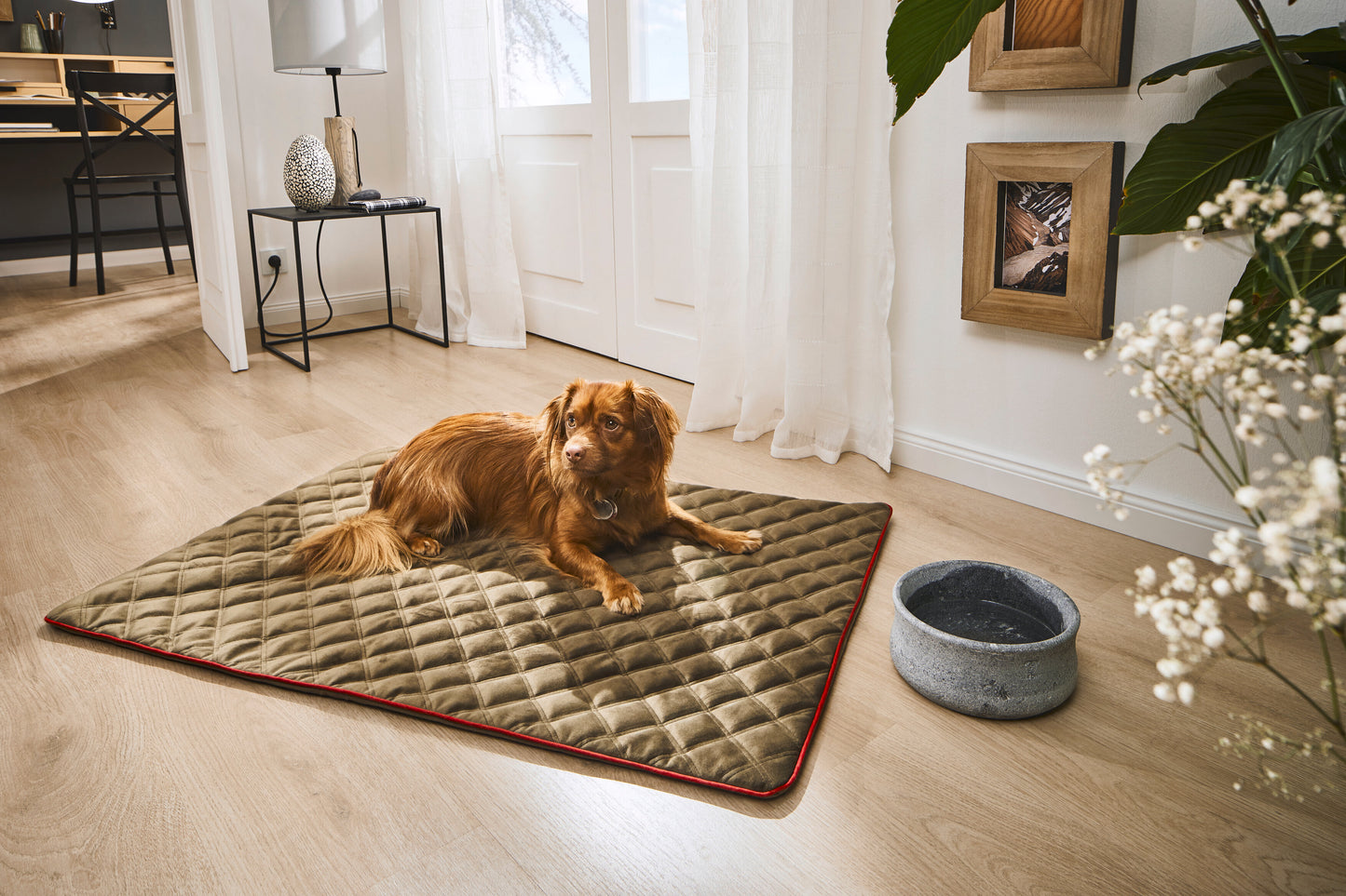 Hundedecke Olive / Grau