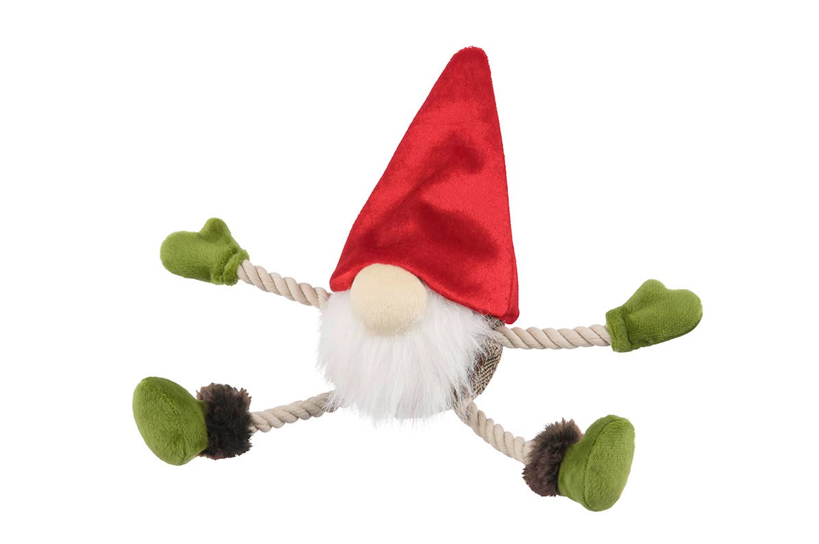 Mythischer Creatures_Gnom