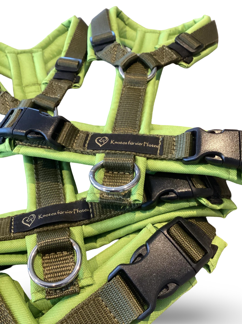 Brustgeschirr lime/oliv