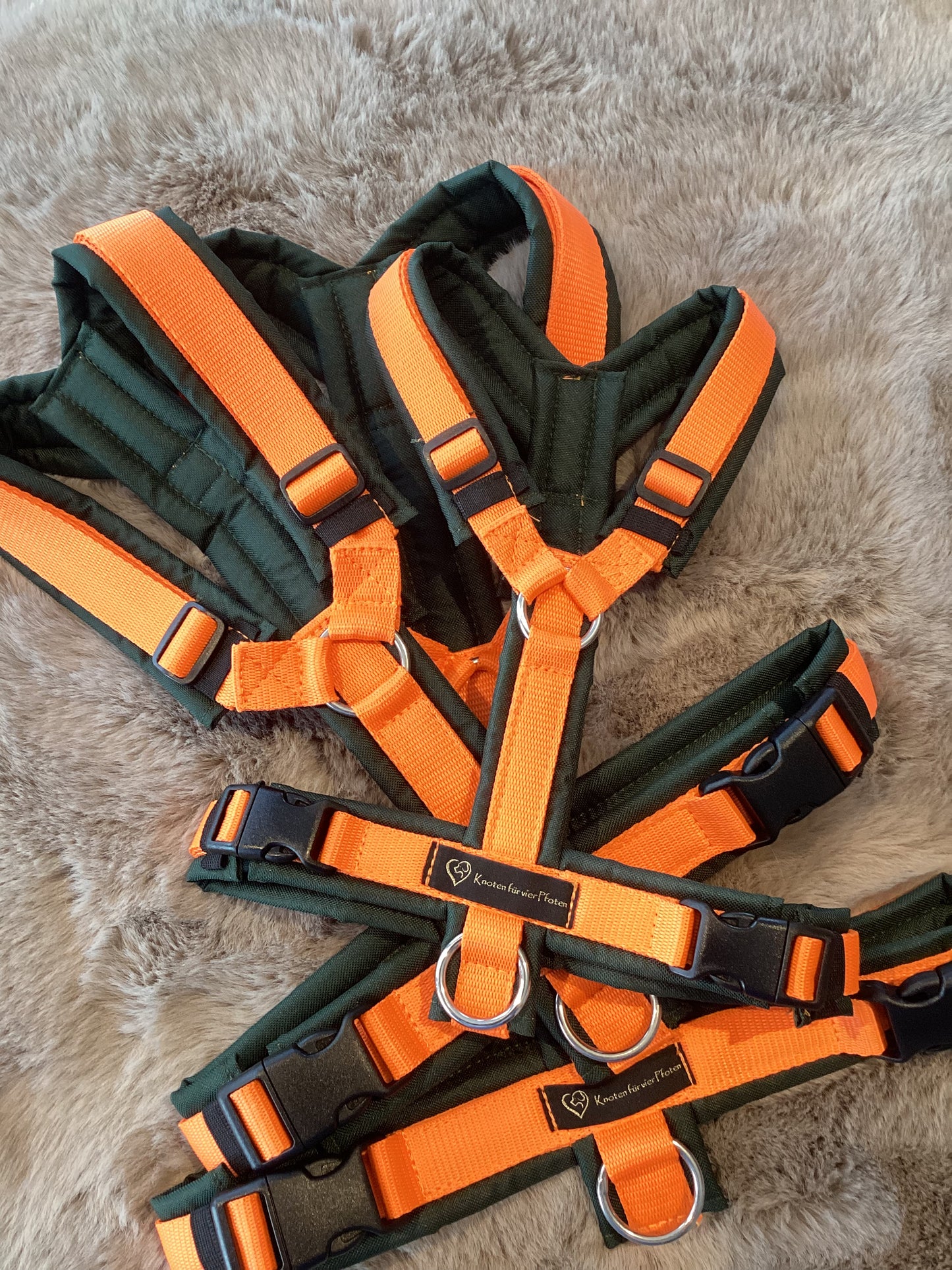 Hundegeschirr Y Geschirr Orange dunkelgrün