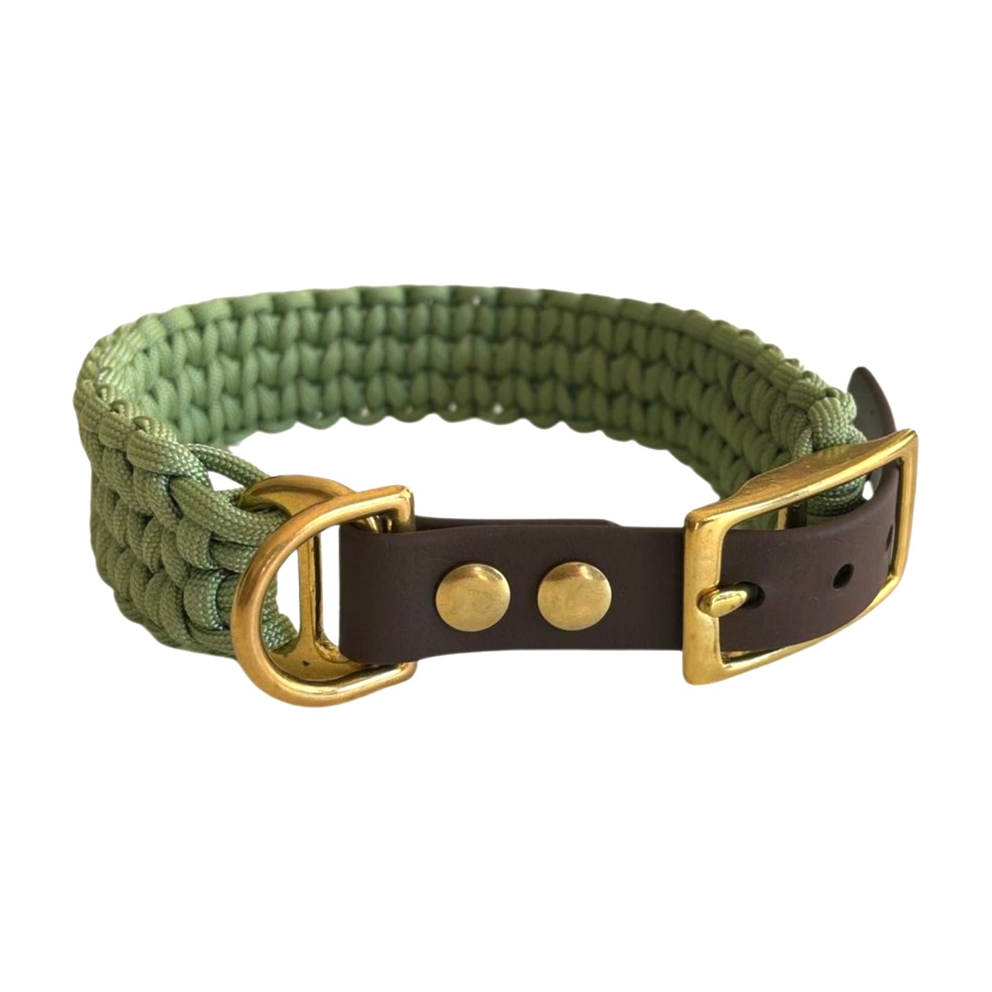 Paracord Hundehalsband grün Knoten für vier Pfoten verschluss Messing