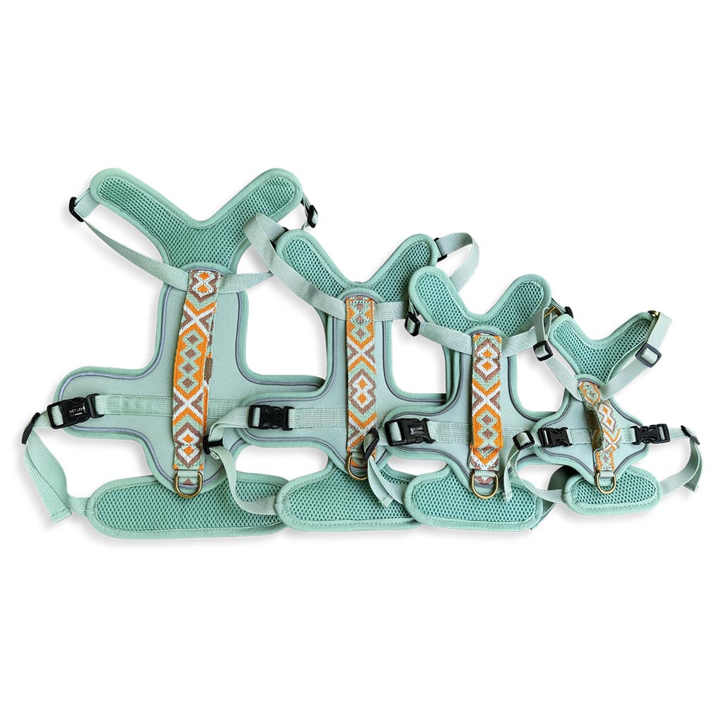 Premium Hundegeschirr Gepolstert – Mint/Orange