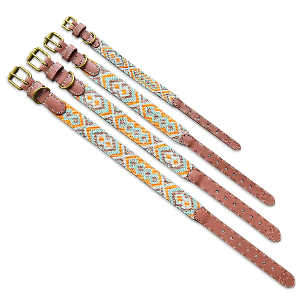 Knoten für vier Pfoten Hundehalsband mint orange Hey Lana