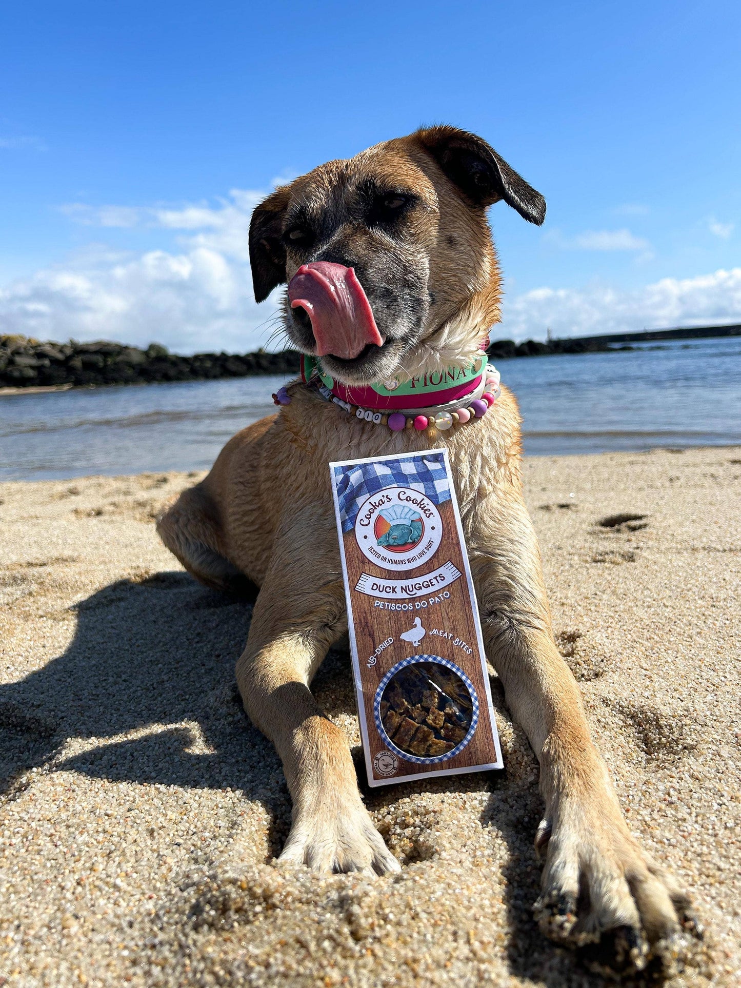 Knoten für vier Pfoten Leckerlis