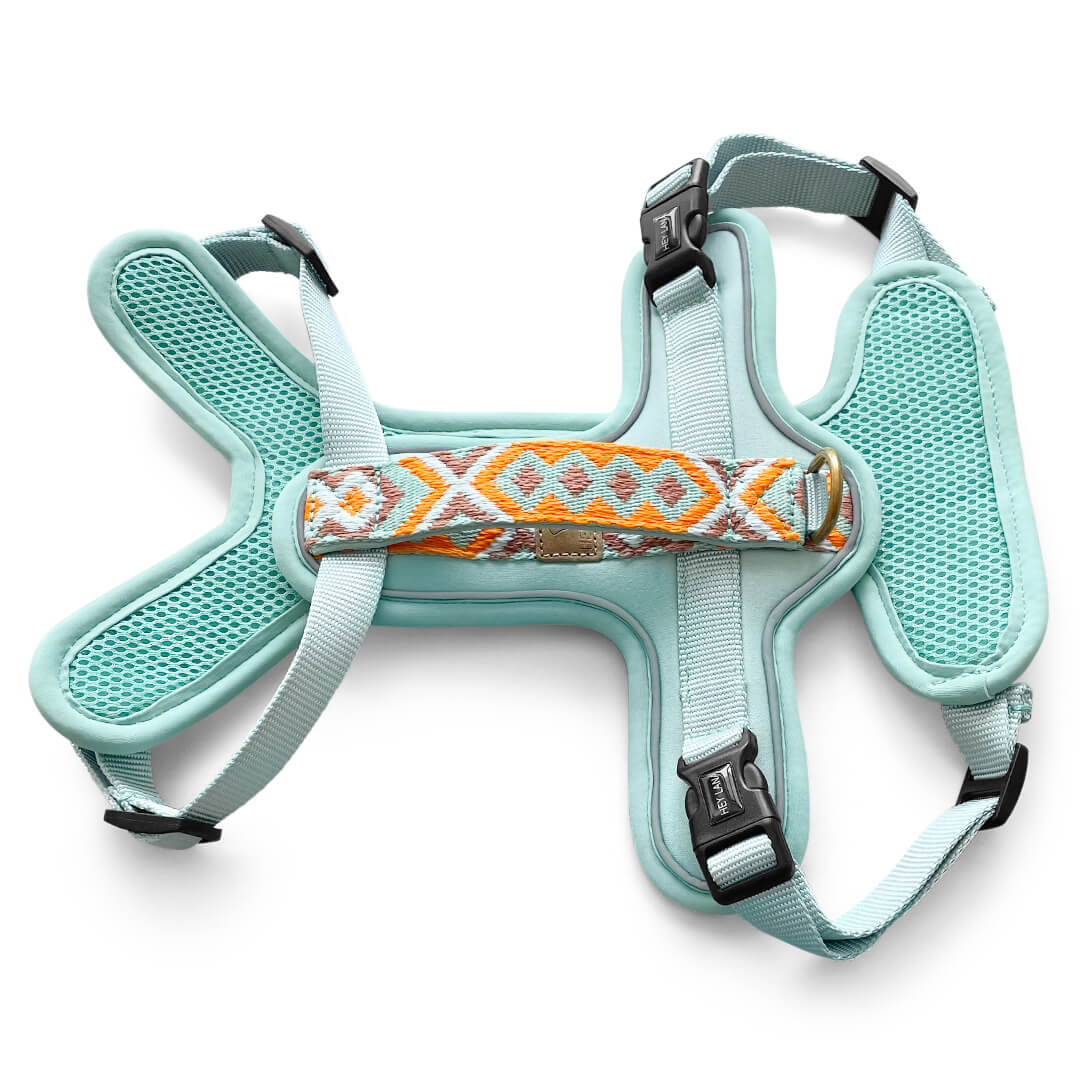 Premium Hundegeschirr Gepolstert – Mint/Orange