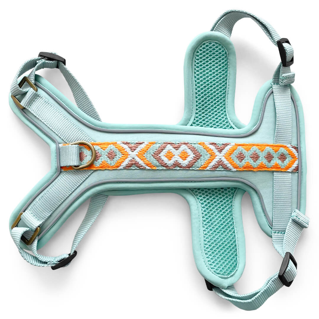 Premium Hundegeschirr Gepolstert – Mint/Orange