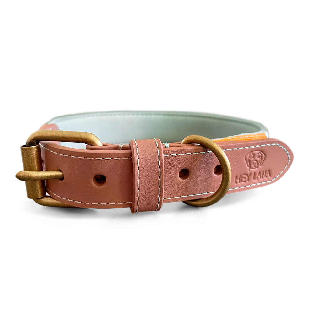 Knoten für vier Pfoten Hundehalsband mint orange Hey Lana