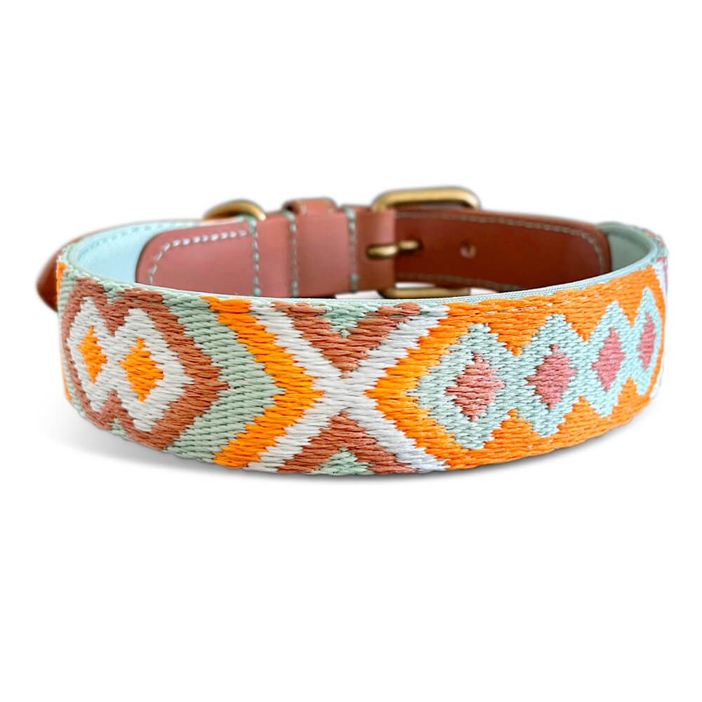 Knoten für vier Pfoten Hundehalsband mint orange Hey Lana