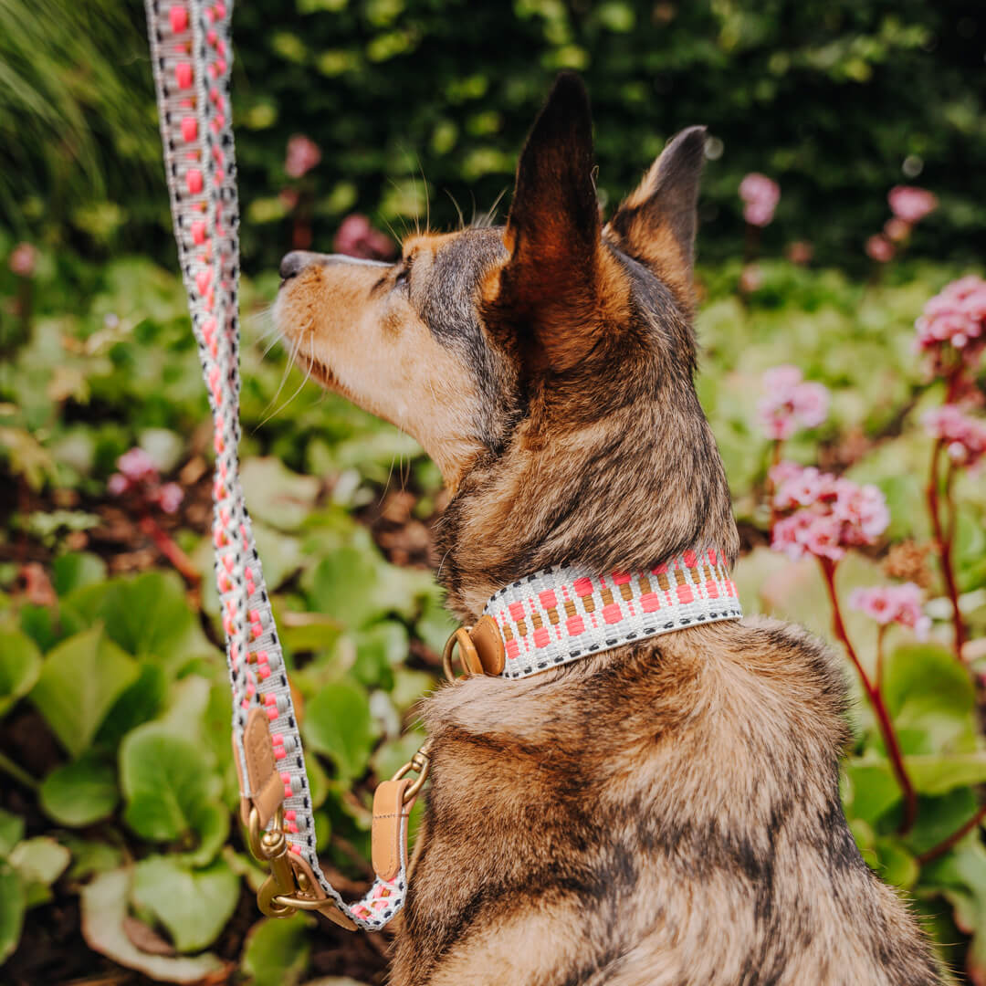 Hundehalsband pink beige Hey Lana