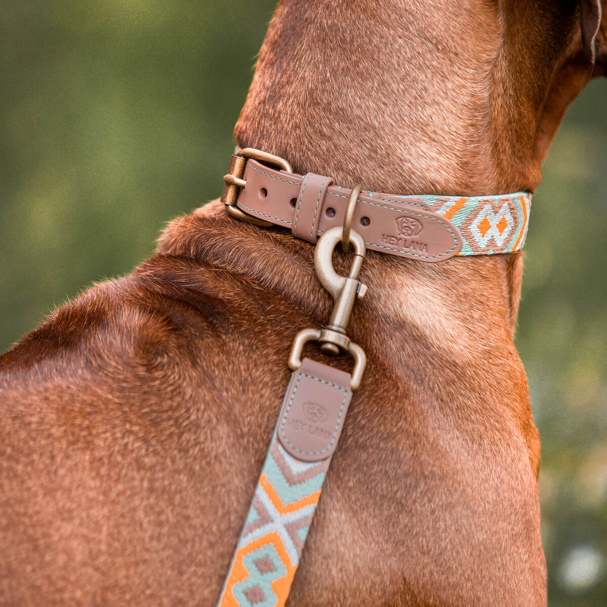 Knoten für vier Pfoten Hundehalsband mint orange Hey Lana