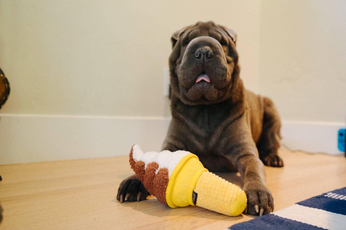 Knoten für vier Pfoten Eis Hundespielzeug P.L.A.Y