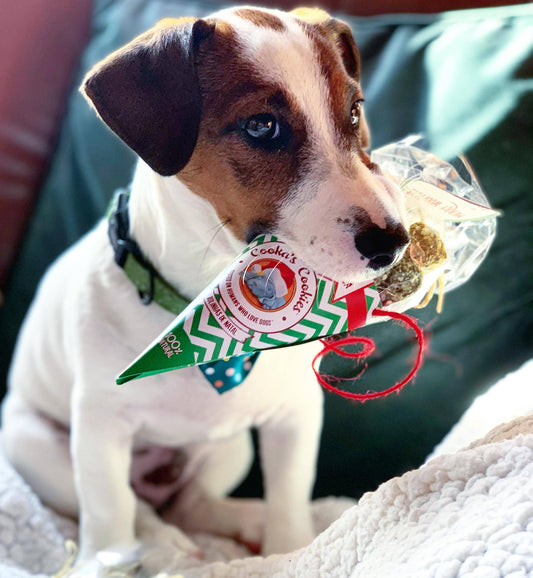 Weihnachtskugeln - Rindfleisch - Natürliche Hundeleckerlis