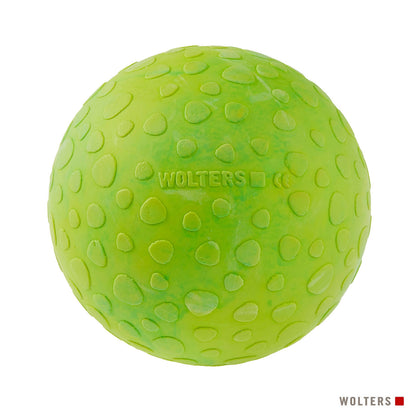 Dog Fun Ball Hundespielzeug