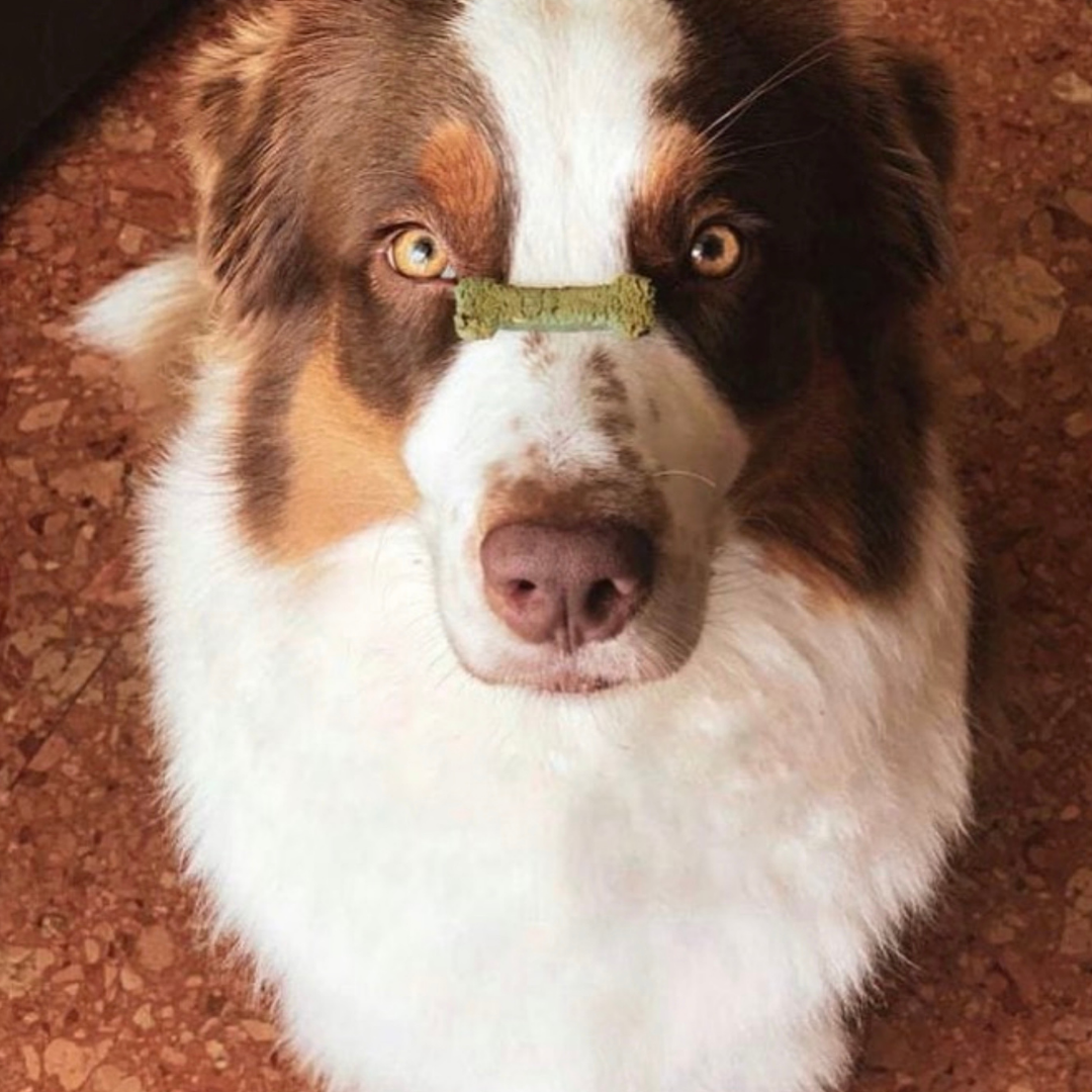 Porto Spirit - Natürliche Hundeleckerlis mit Superfoods