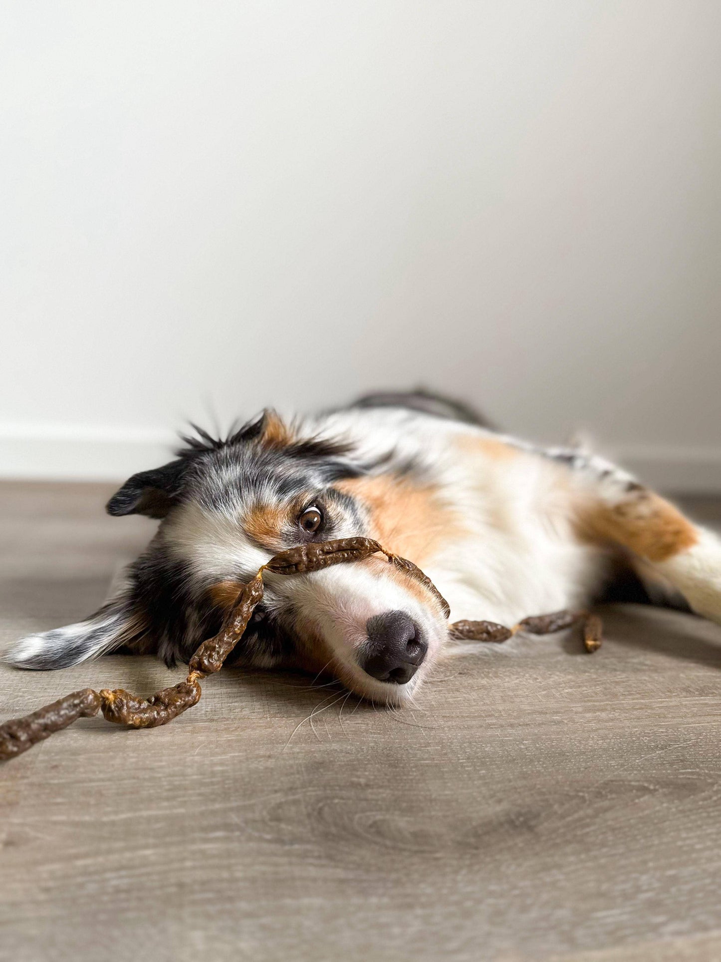 Rindersalamis - Hundesnacks