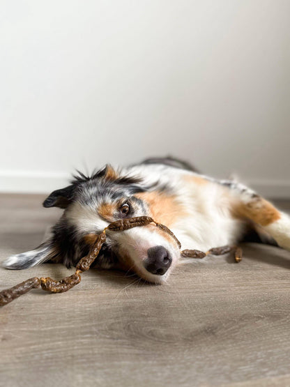 Rindersalamis - Hundesnacks