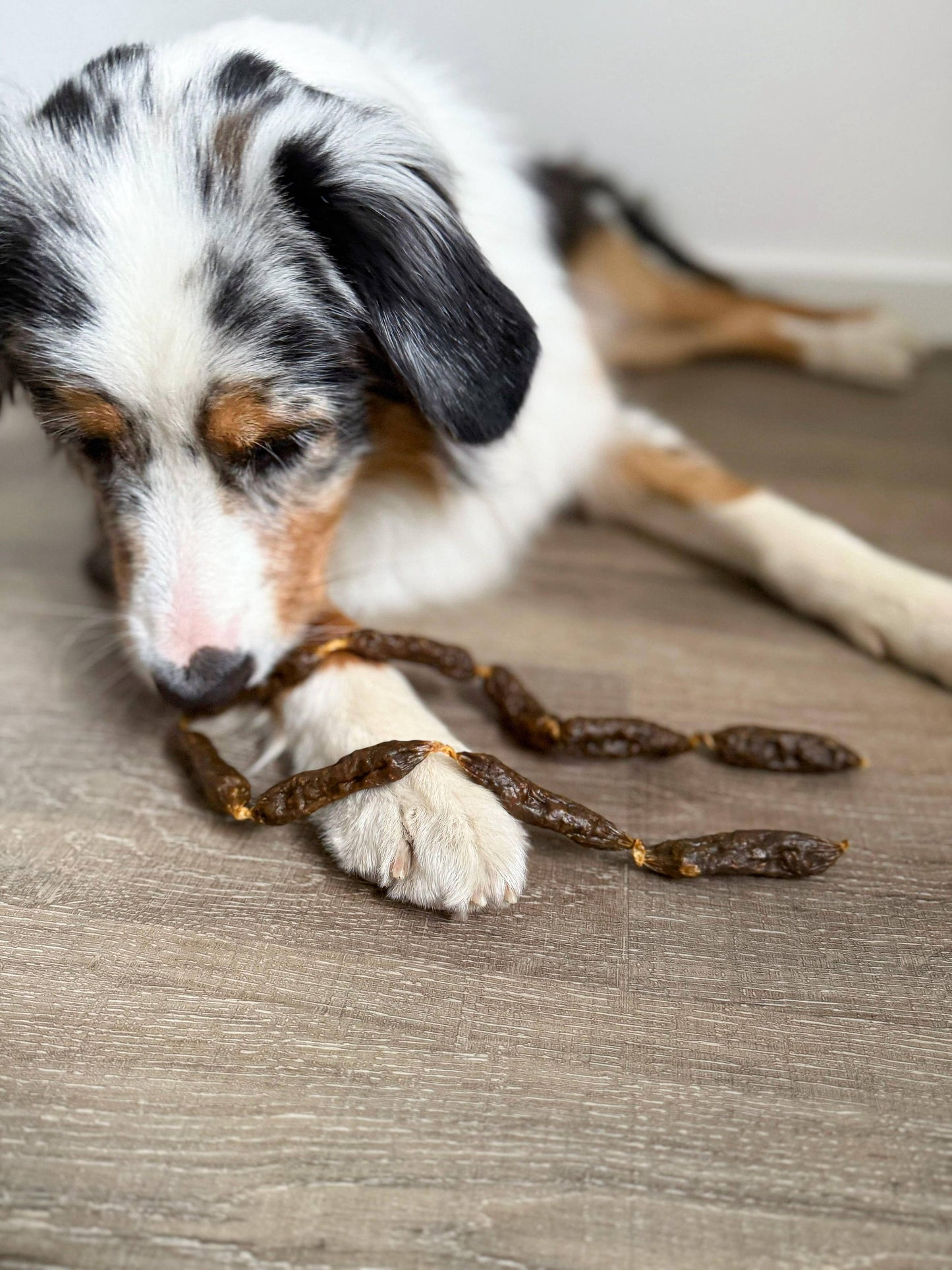 Rindersalamis - Hundesnacks