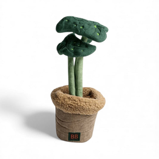 Aktivitätsspielzeug Pawtanic Garden - Pflanze