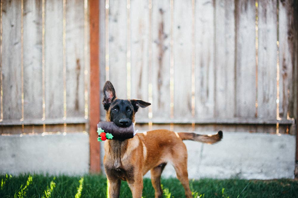 Klassischer leckerer Weihnachtsbaumstamm