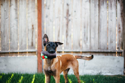 Klassischer leckerer Weihnachtsbaumstamm