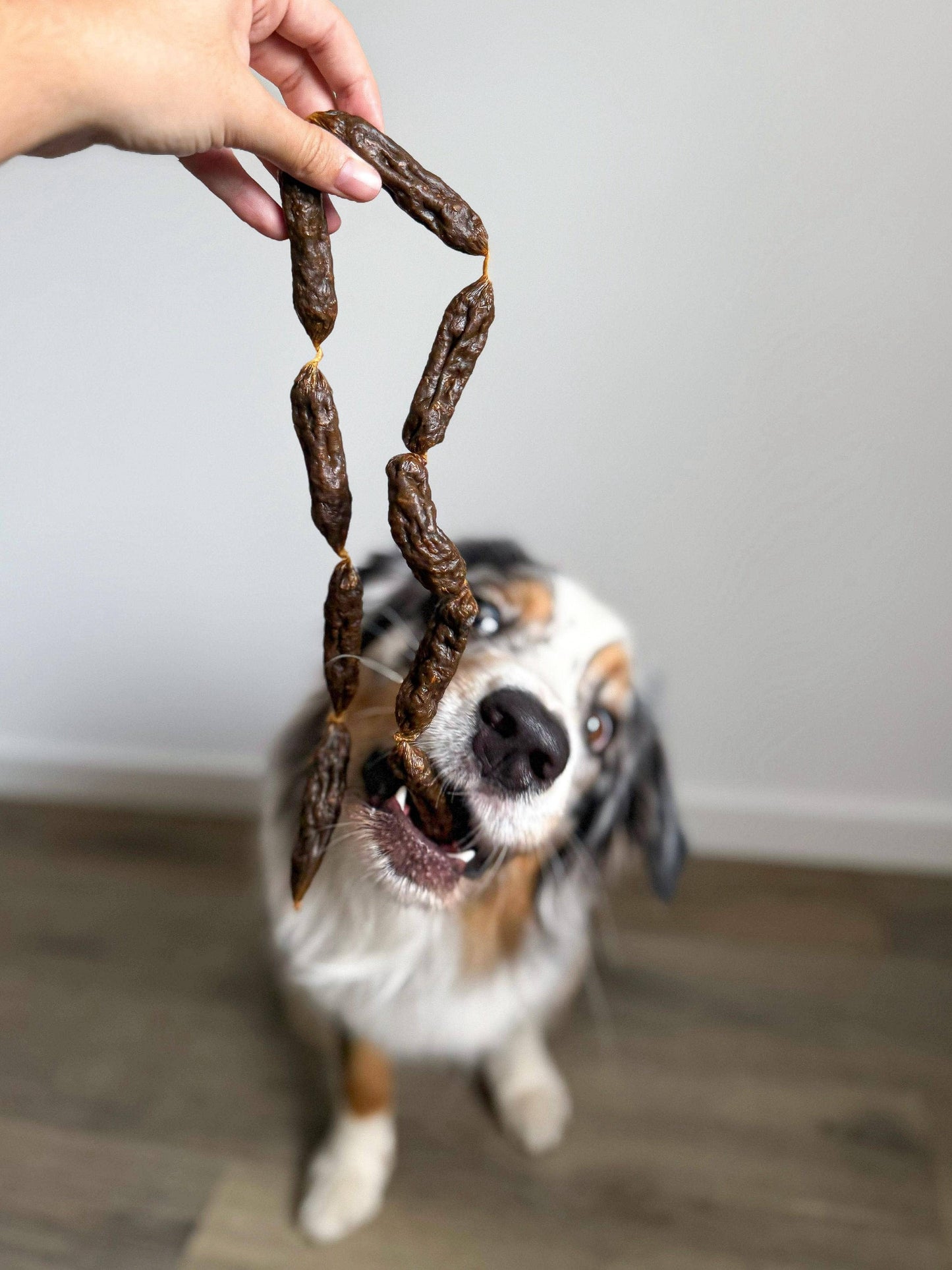 Rindersalamis - Hundesnacks