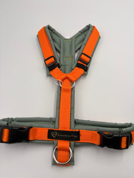 Brustgeschirr salbei/orange