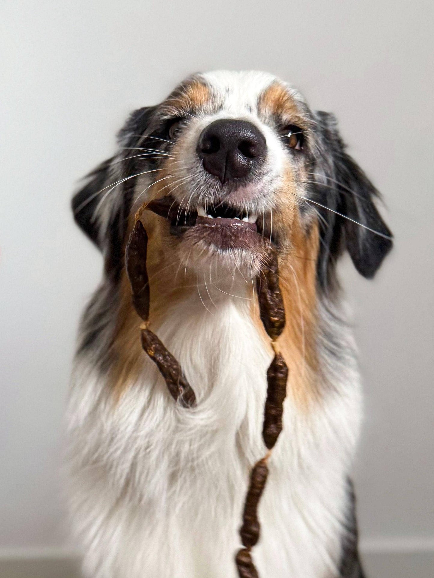 Rindersalamis - Hundesnacks