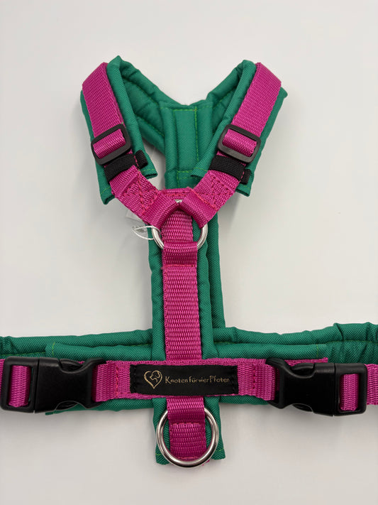 Brustgeschirr grün/pink