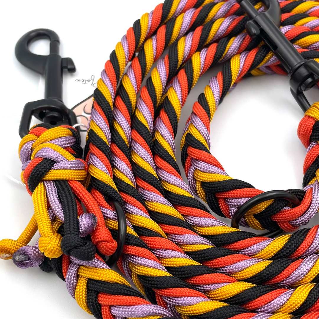 Paracord Hundeleine