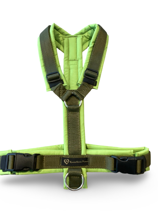 Brustgeschirr lime/oliv