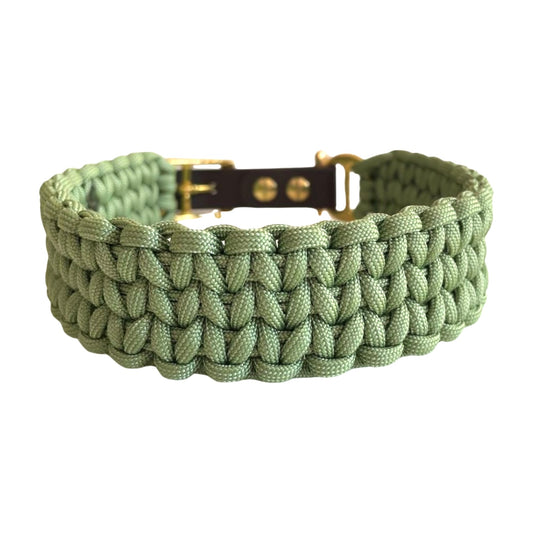 Paracord Hundehalsband grün Knoten für vier Pfoten