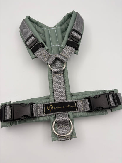 Brustgeschirr salbei/grau