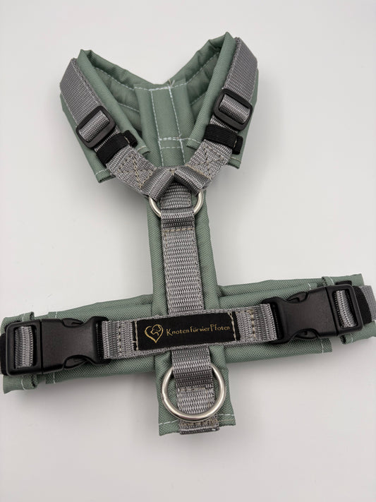 Brustgeschirr salbei/grau