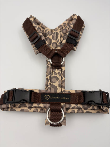 Brustgeschirr Leo mit Applikation