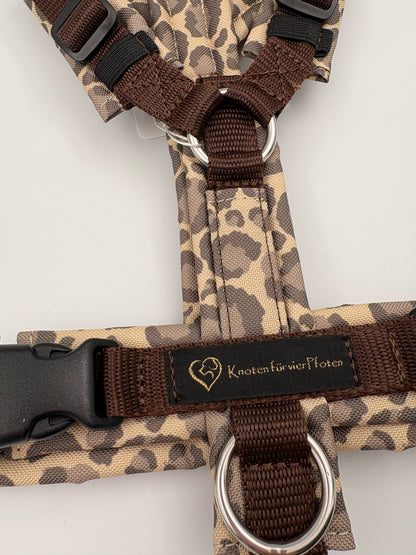 Brustgeschirr Leo mit Applikation