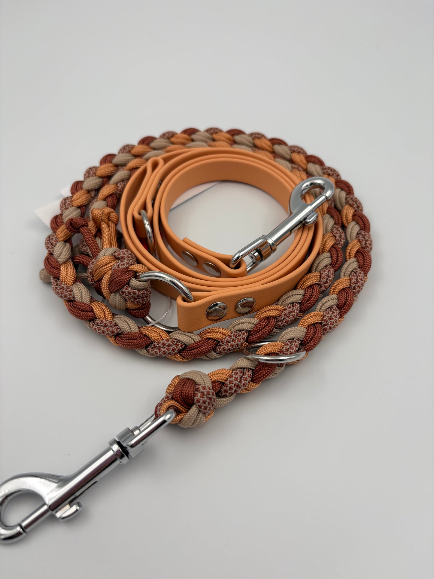 Paracord x Biothane Hundeleine