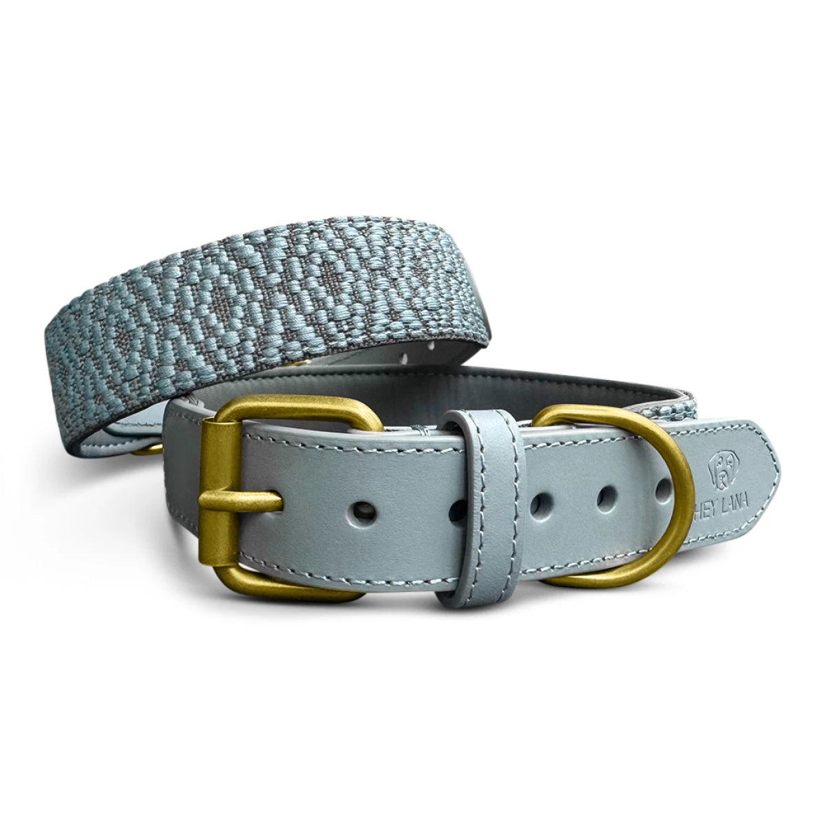 Premium Hundehalsband Gepolstert – Anthrazit/Eisblau