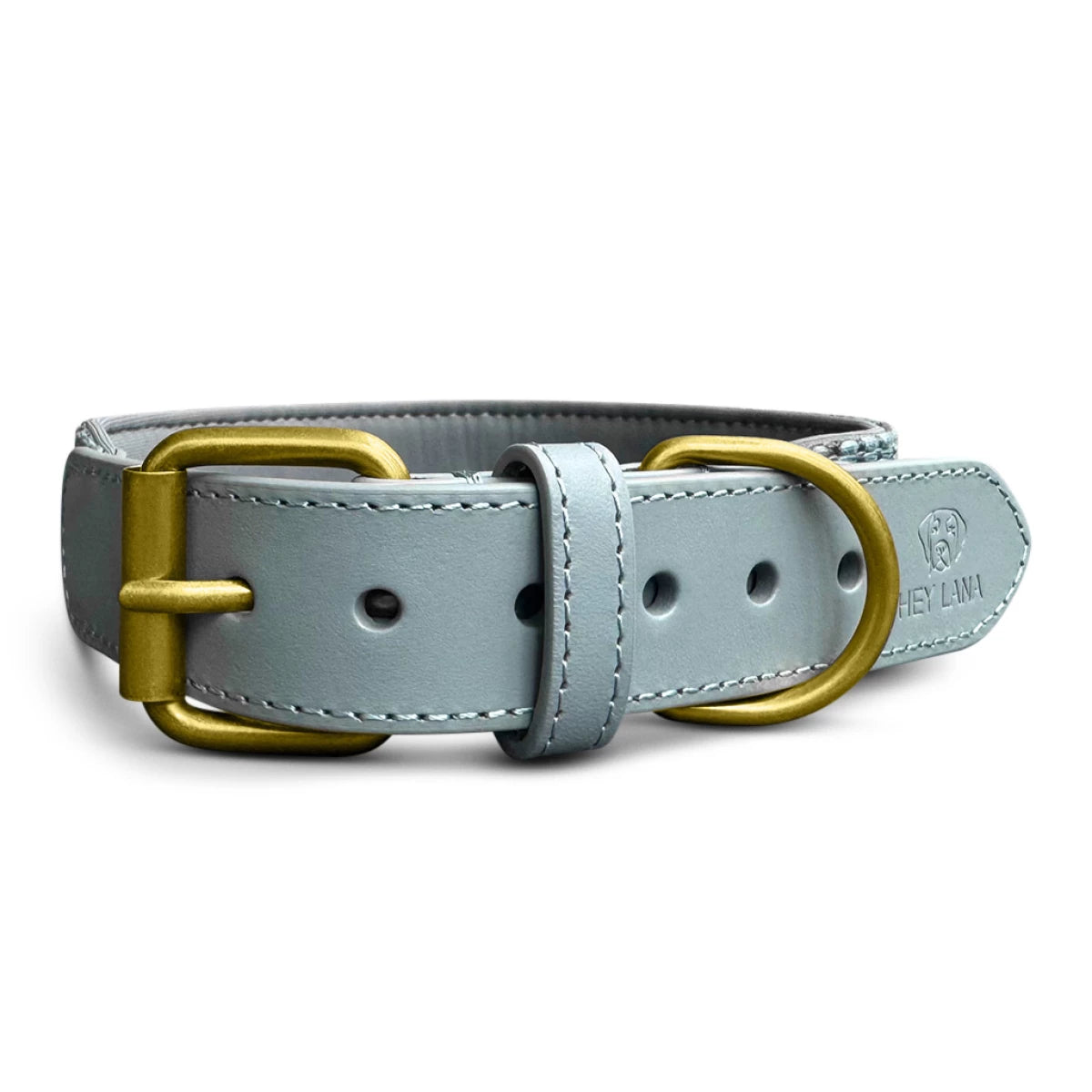 Premium Hundehalsband Gepolstert – Anthrazit/Eisblau