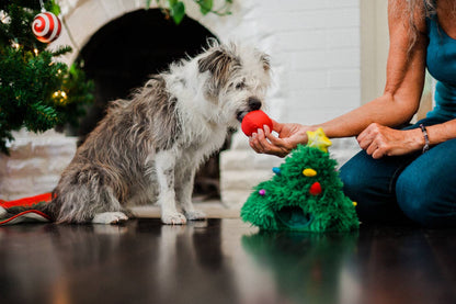 Fröhliche Woofnachten Doglas Fur