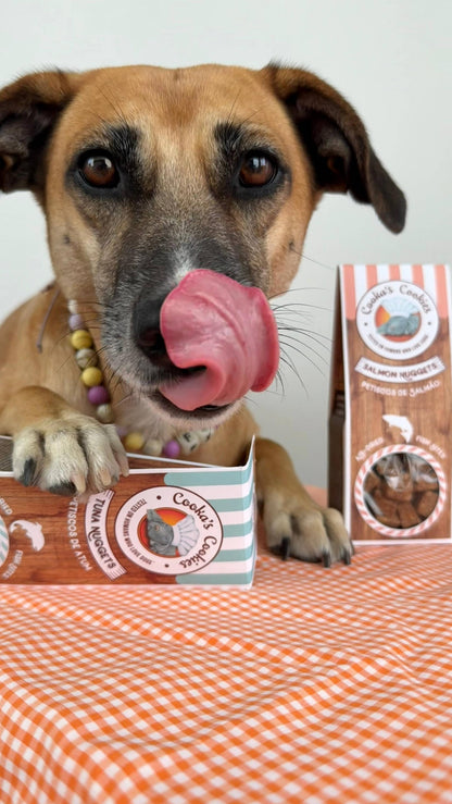 Lachsnuggets - Luftgetrocknete Häppchen