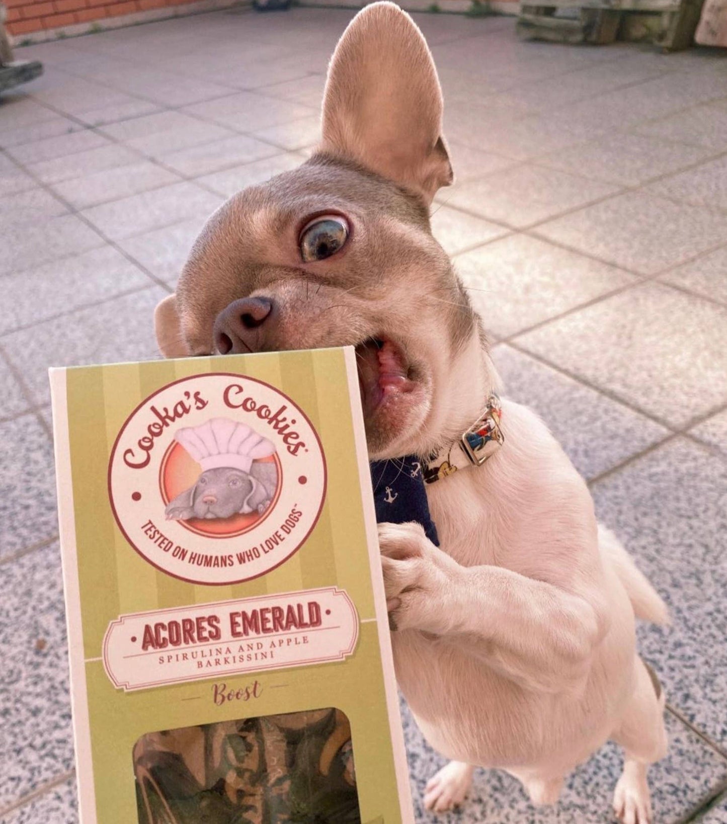 Porto Spirit - Natürliche Hundeleckerlis mit Superfoods