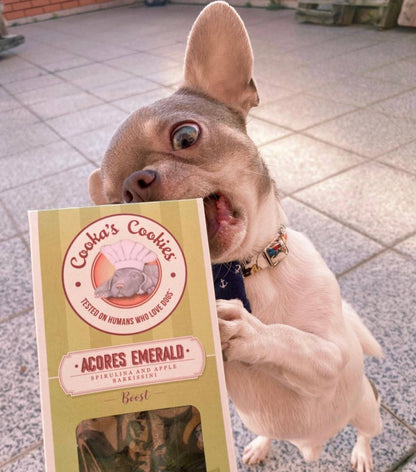 Porto Spirit - Natürliche Hundeleckerlis mit Superfoods