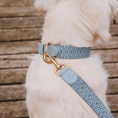 Premium Hundehalsband Gepolstert – Anthrazit/Eisblau