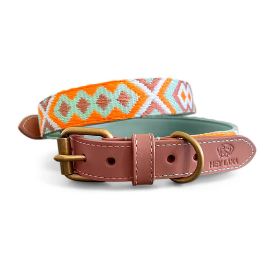 Premium Hundehalsband Gepolstert – Mint/Orange